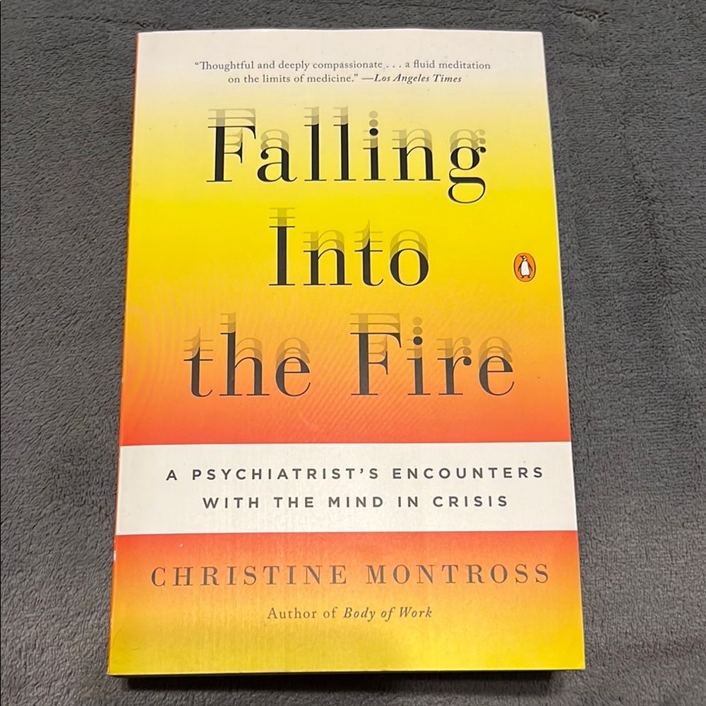 Falling Into the Fire Book